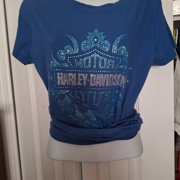 Womens  plastic display torso. pic shows a shirt fits like a medium. - Picture 3 of 4